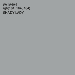 #A1A4A4 - Shady Lady Color Image